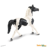 Koń - Klacz Rasy Pinto Mustang