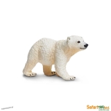 Młody Niedźwiedź Polarny