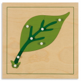 Liść Puzzle Botaniczne Nienhuis Montessori