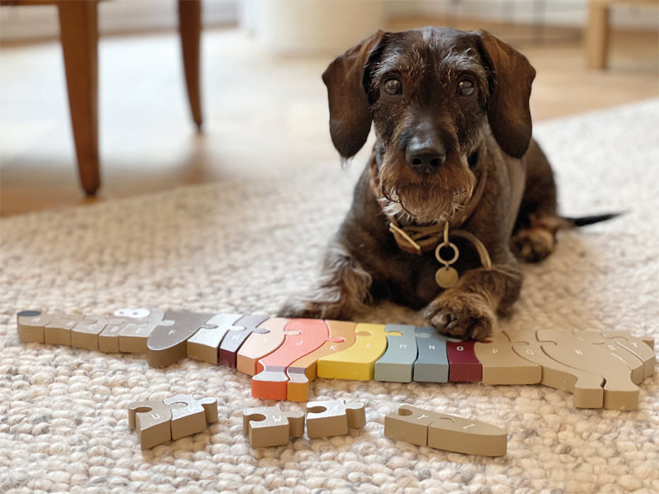 Nauka Liter Puzzle Pies