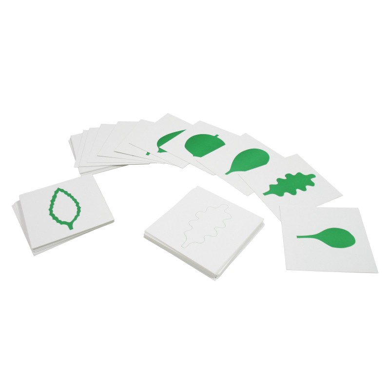 Kształty liści - Karty Montessori 