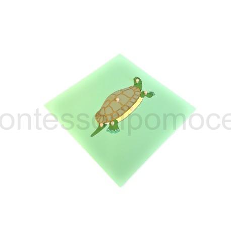 Szkielet Żółwia Puzzle Montessori
