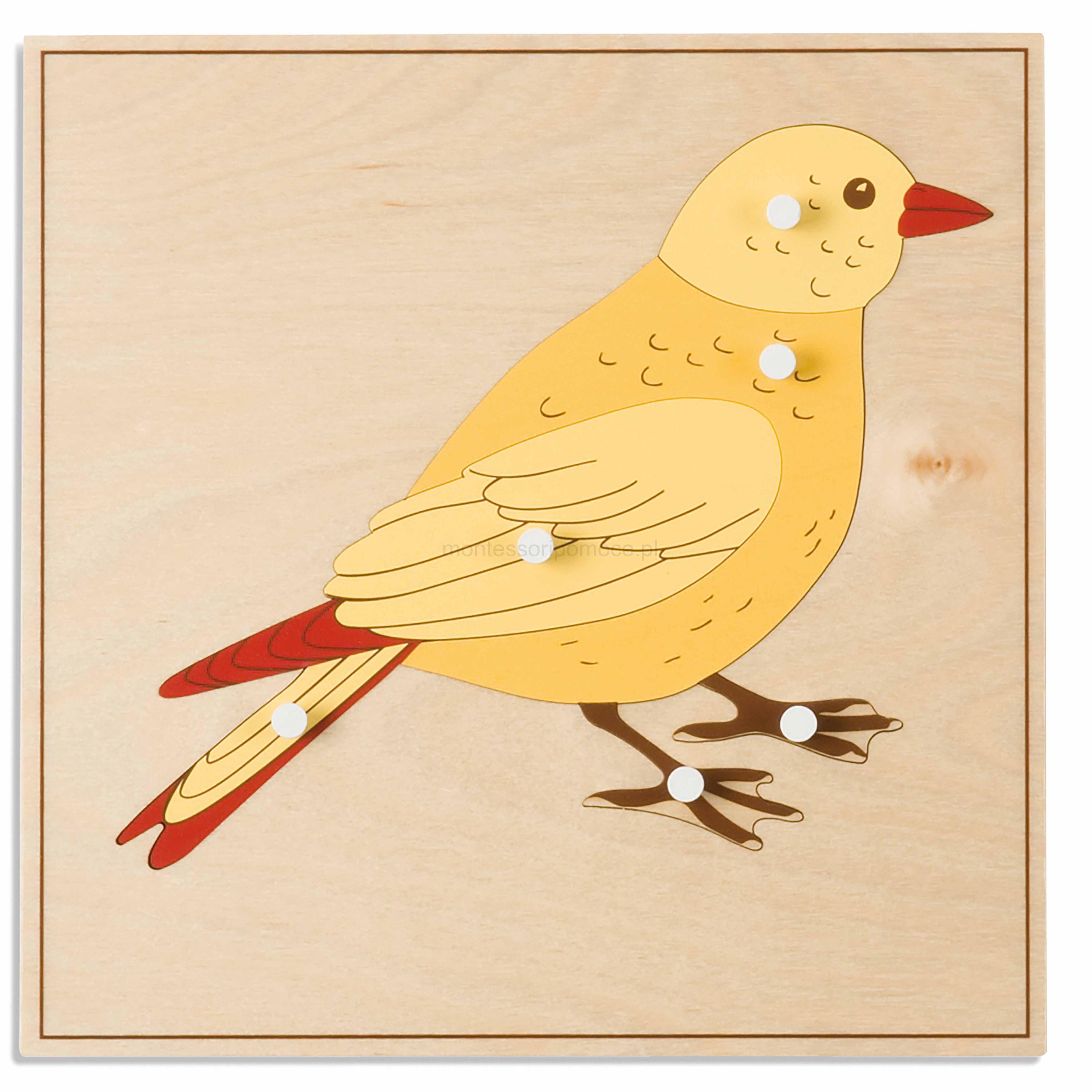 Ptak Puzzle Zoologiczne Heutink Montessori