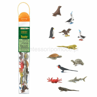 Galapagos Zwierzęta - Figurki w Tubie