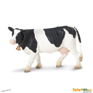 Krowa Rasy Holstein