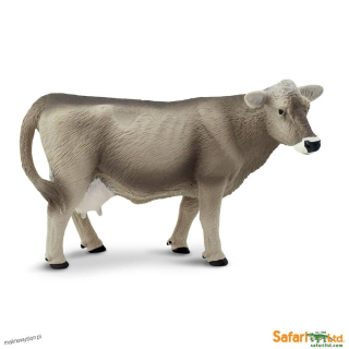 Krowa Rasy Brown Swiss