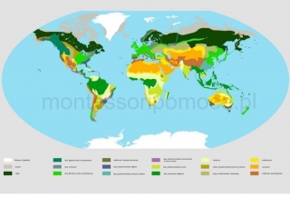 MAPA ŚWIATA BIOMY - 100 X 130 CM