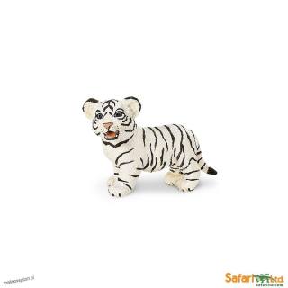 Młody Biały Tygrys Bengalski