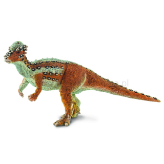 Dinozaur Pachycephalosaurus XL