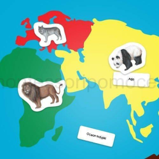Mapa Świata Mata Zestaw Edukacyjny Montessori