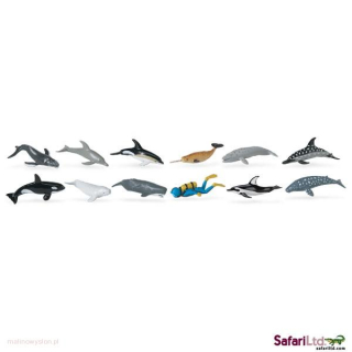 Wieloryby i Delfiny -  Figurki W Tubie